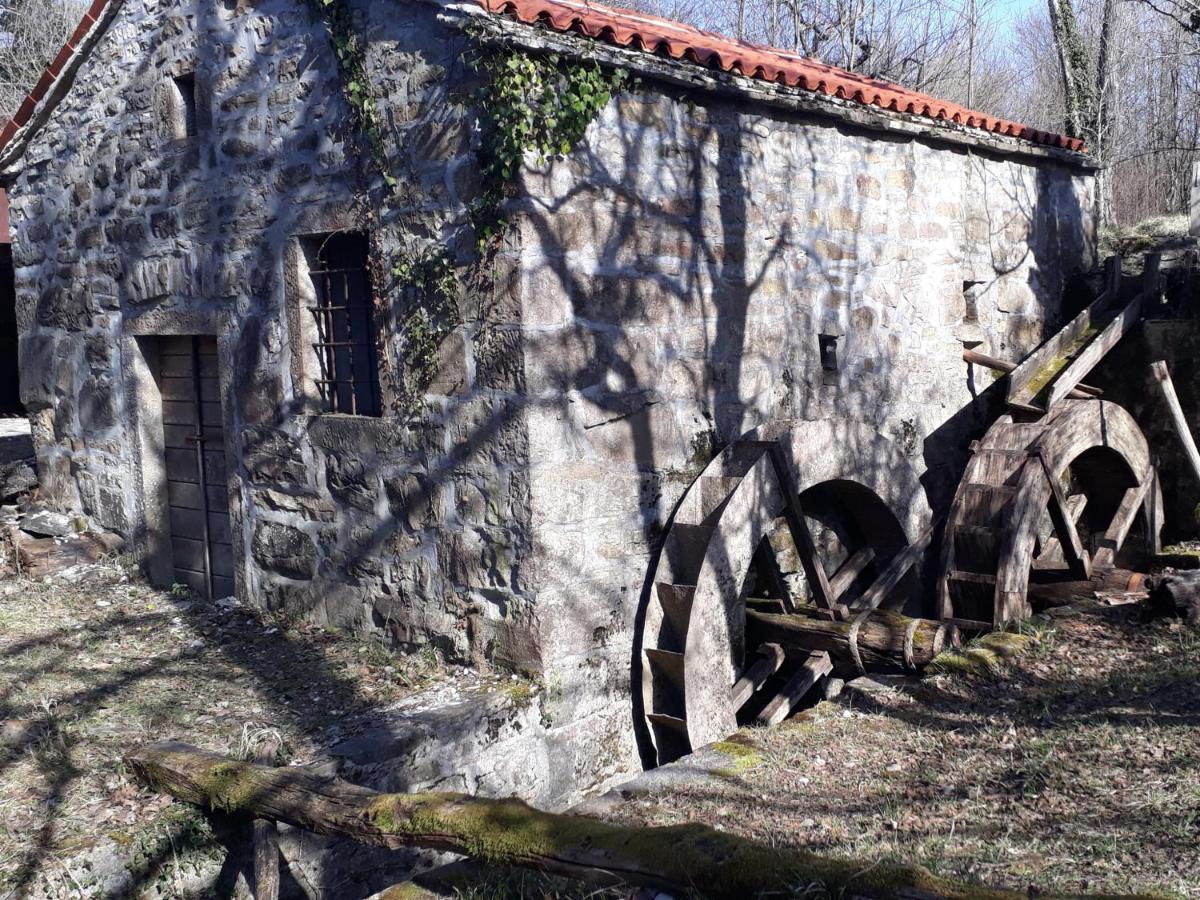 Wine House Rakar Konuk evi Gračišče Dış mekan fotoğraf