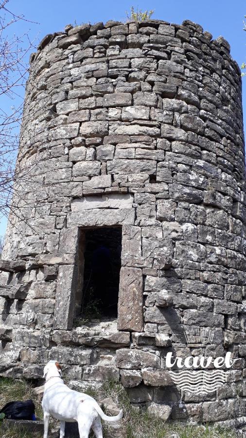 Wine House Rakar Konuk evi Gračišče Dış mekan fotoğraf