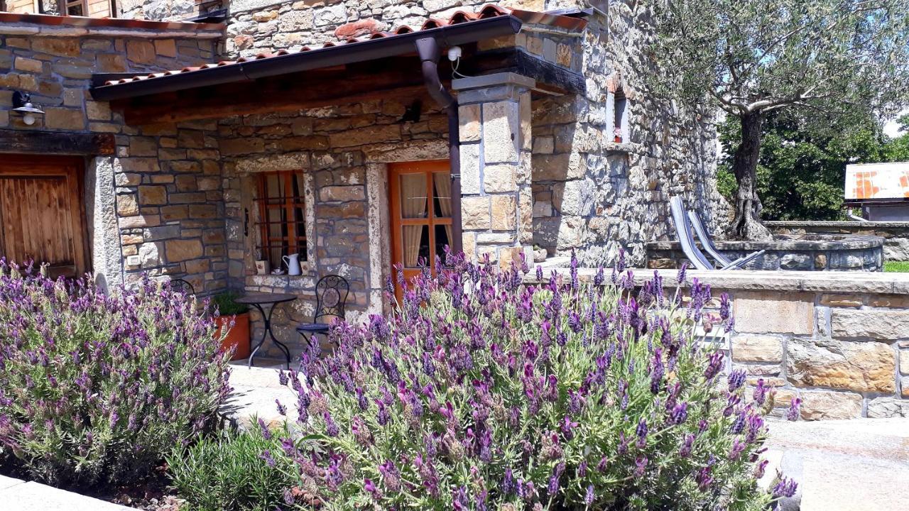 Wine House Rakar Konuk evi Gračišče Dış mekan fotoğraf
