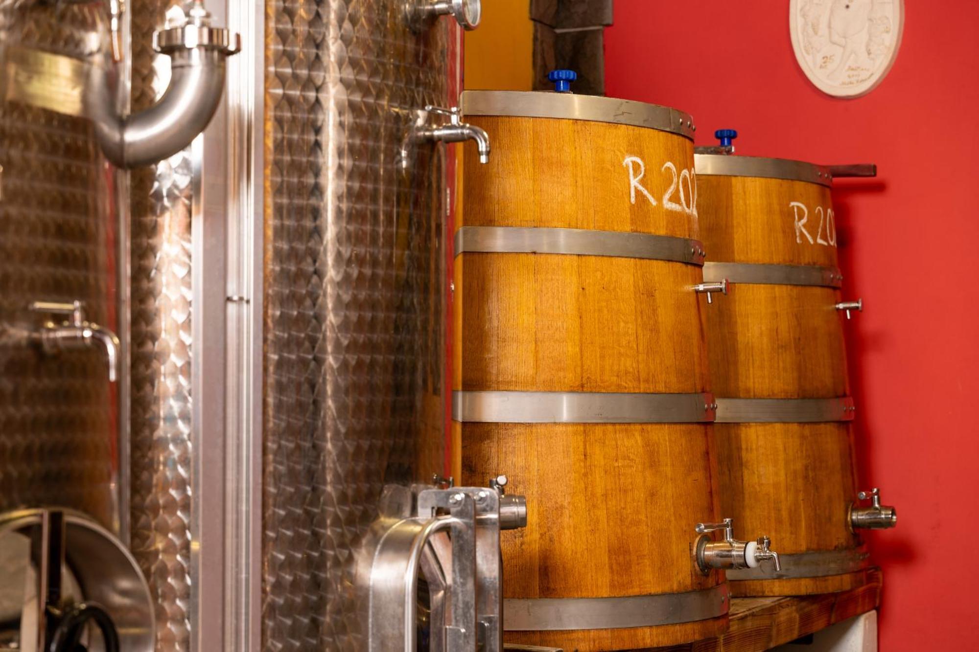 Wine House Rakar Konuk evi Gračišče Dış mekan fotoğraf