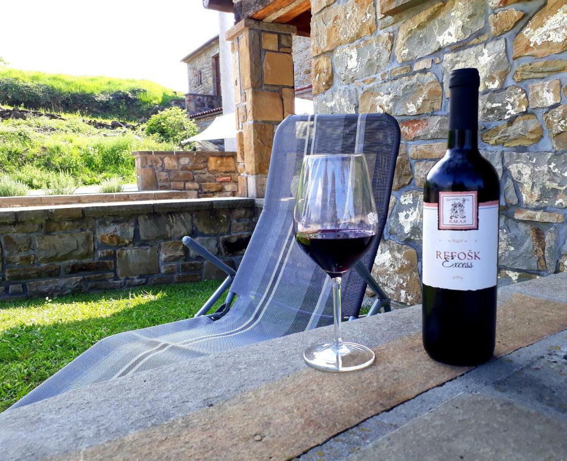 Wine House Rakar Konuk evi Gračišče Dış mekan fotoğraf